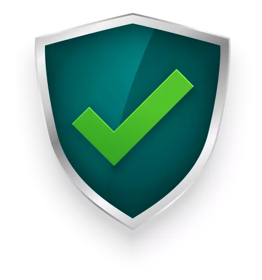 icon qa